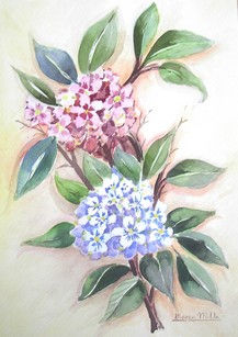 Hortensias Watercolour Card