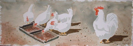 Gallinero