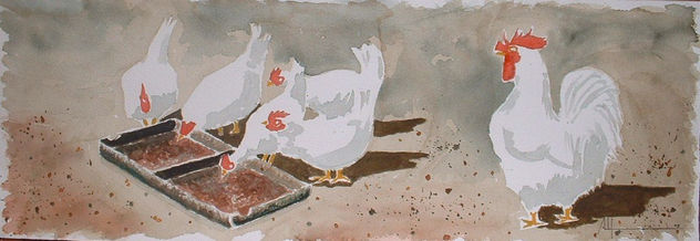 gallinero