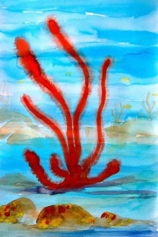 corales rojos
