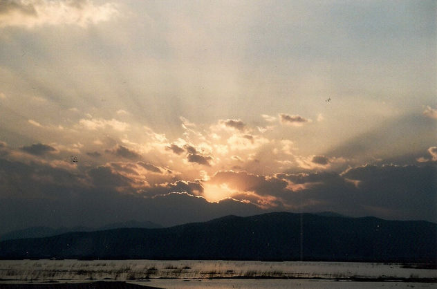 SUN