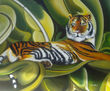 TIGRE