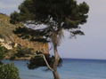mallorca en imagenes