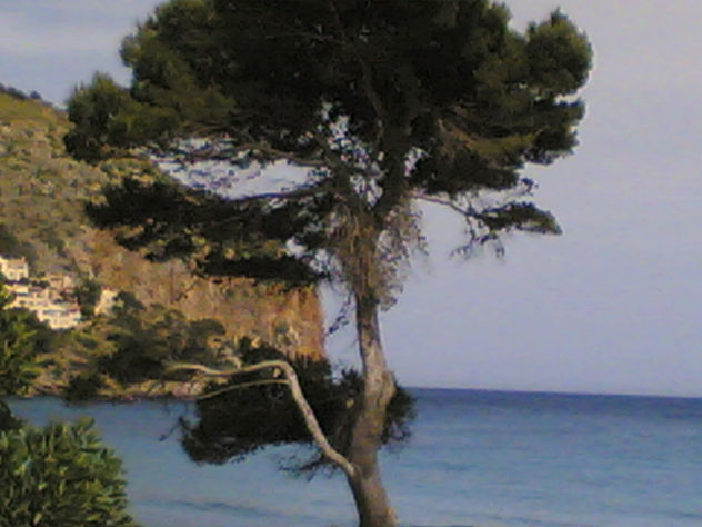 mallorca en imagenes