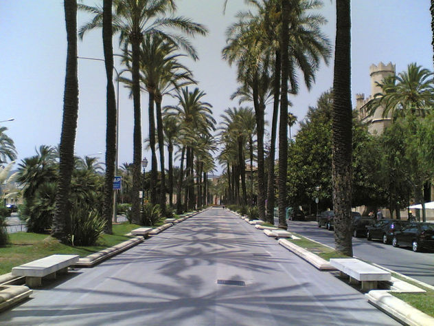 mallorca en imagenes