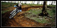pure bike sensations_43