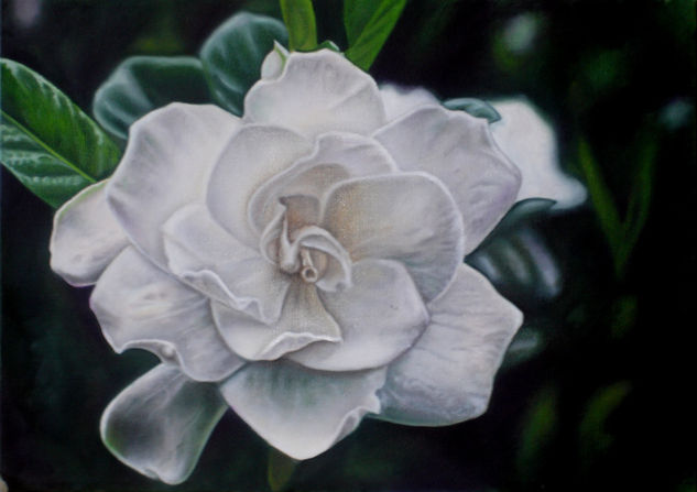 cuadro de flores Gardenia Óleo Lienzo Floral