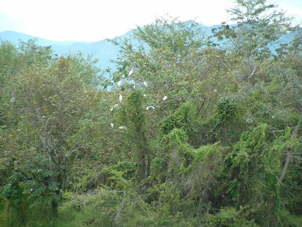 Santuario de aves