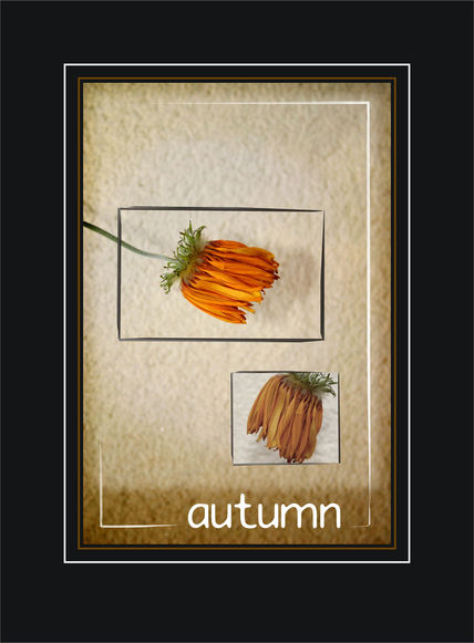 Autumn II.