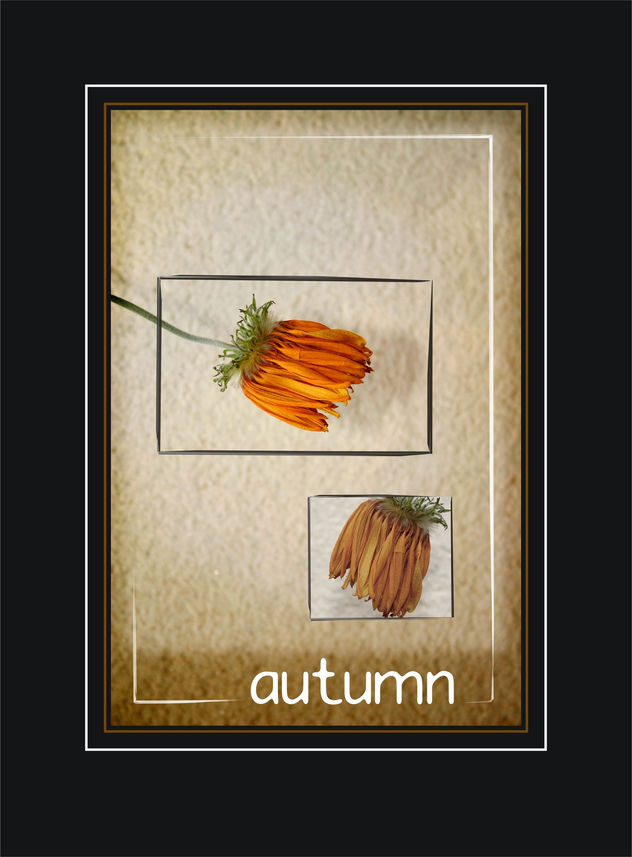 Autumn II.