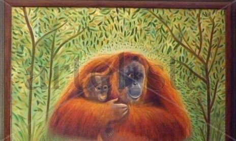 Animales