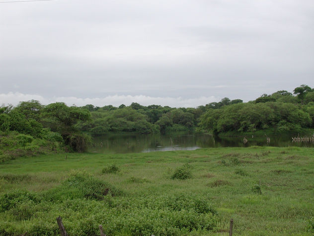Laguna de la coja-Papayal