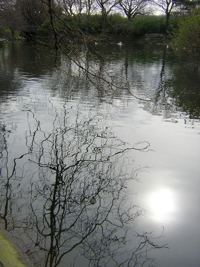 Espejos de la Naturaleza 