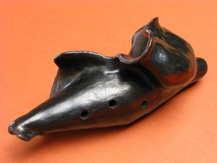 Caracola en negro