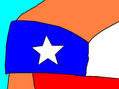 the chilean bakc