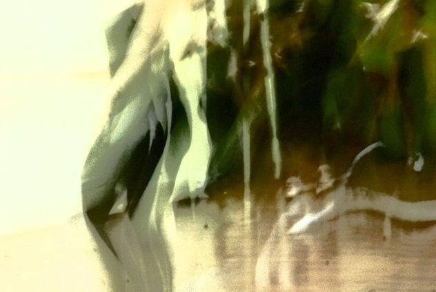 cuerpos en movimiento 1