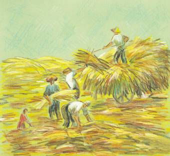 CAMPESINOS
