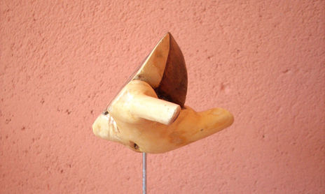 TAUROMAQUIA