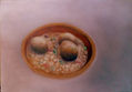 albóndigas