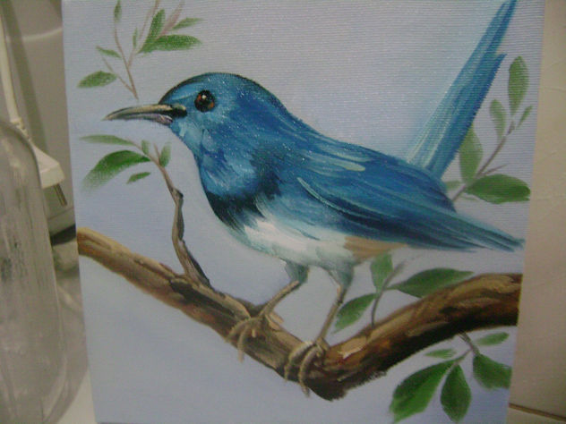 pássaro azul