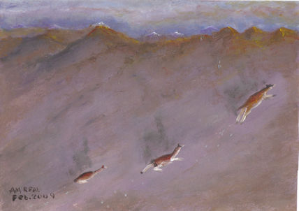Vicuñas en el salar