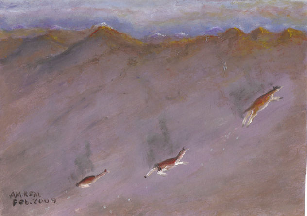 Vicuñas en el salar