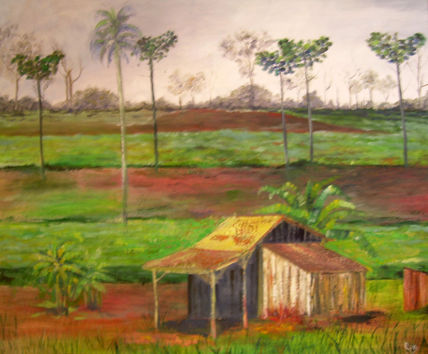 Casa 1