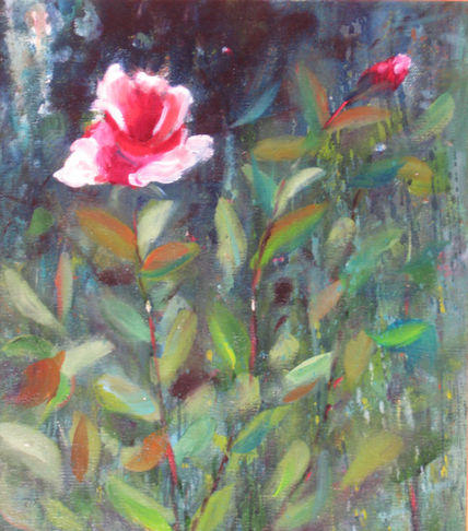 Flor  de jardin