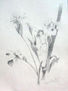 DUENDE I