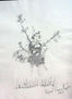 DUENDE IV