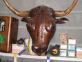Cabeza de vaca gallega