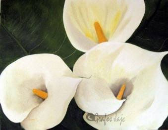 Calas Oil Canvas Floral Painting