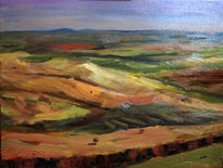 Campos
