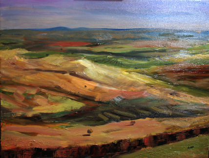 Campos
