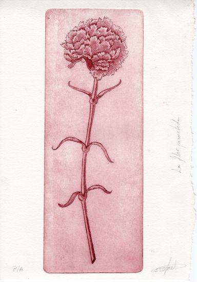 La Flor prometida Aquatint