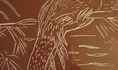 Linografías