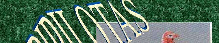 Imagen de portada