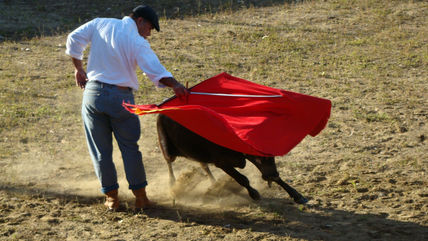 Vaca chavista