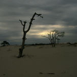 ATARDECERES thumbnail 2