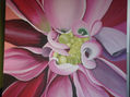 dalia