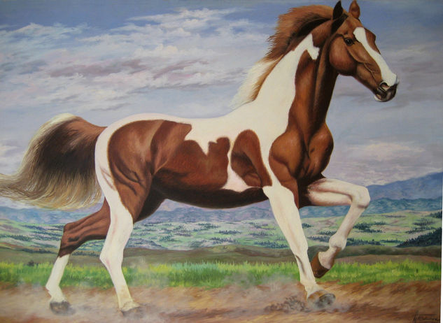 Caballo Oil Canvas Landscaping