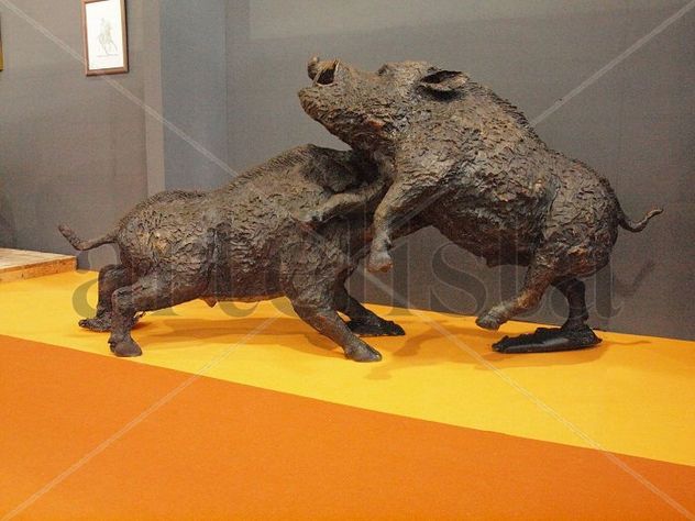 Jabalíes