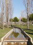 Reflejos