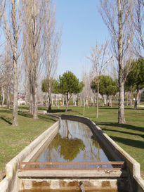 Reflejos