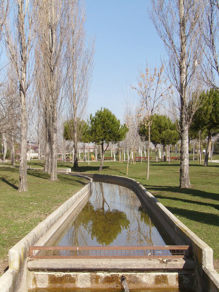 Reflejos