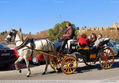 Paseando en coche de caballos por el Paseo de la Farola