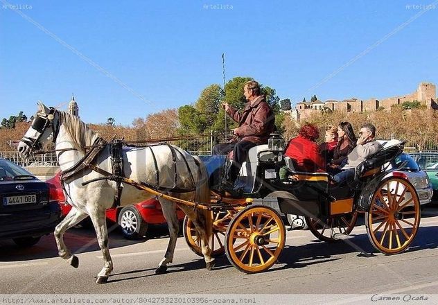 Paseando en coche de caballos por el Paseo de la Farola