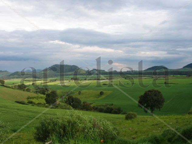 PROVINCIA DE EL D.F.