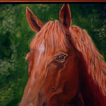 Animales thumbnail 1