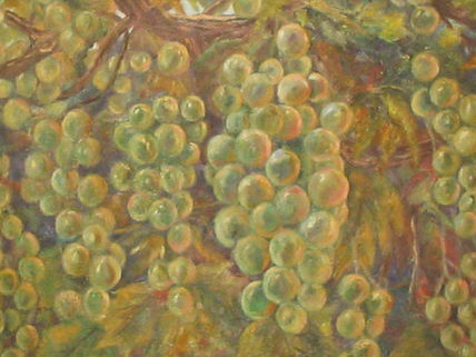 Uvas